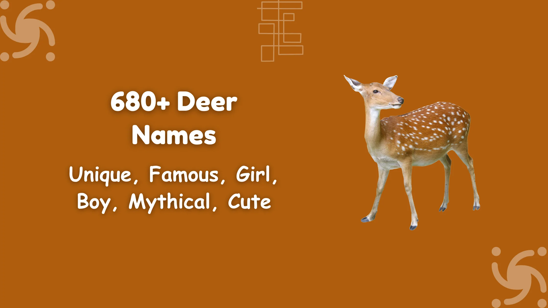 Deer Names