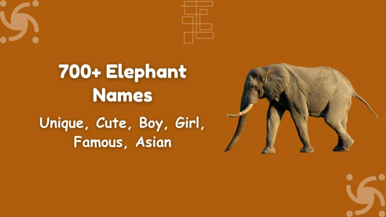 Elephant Names