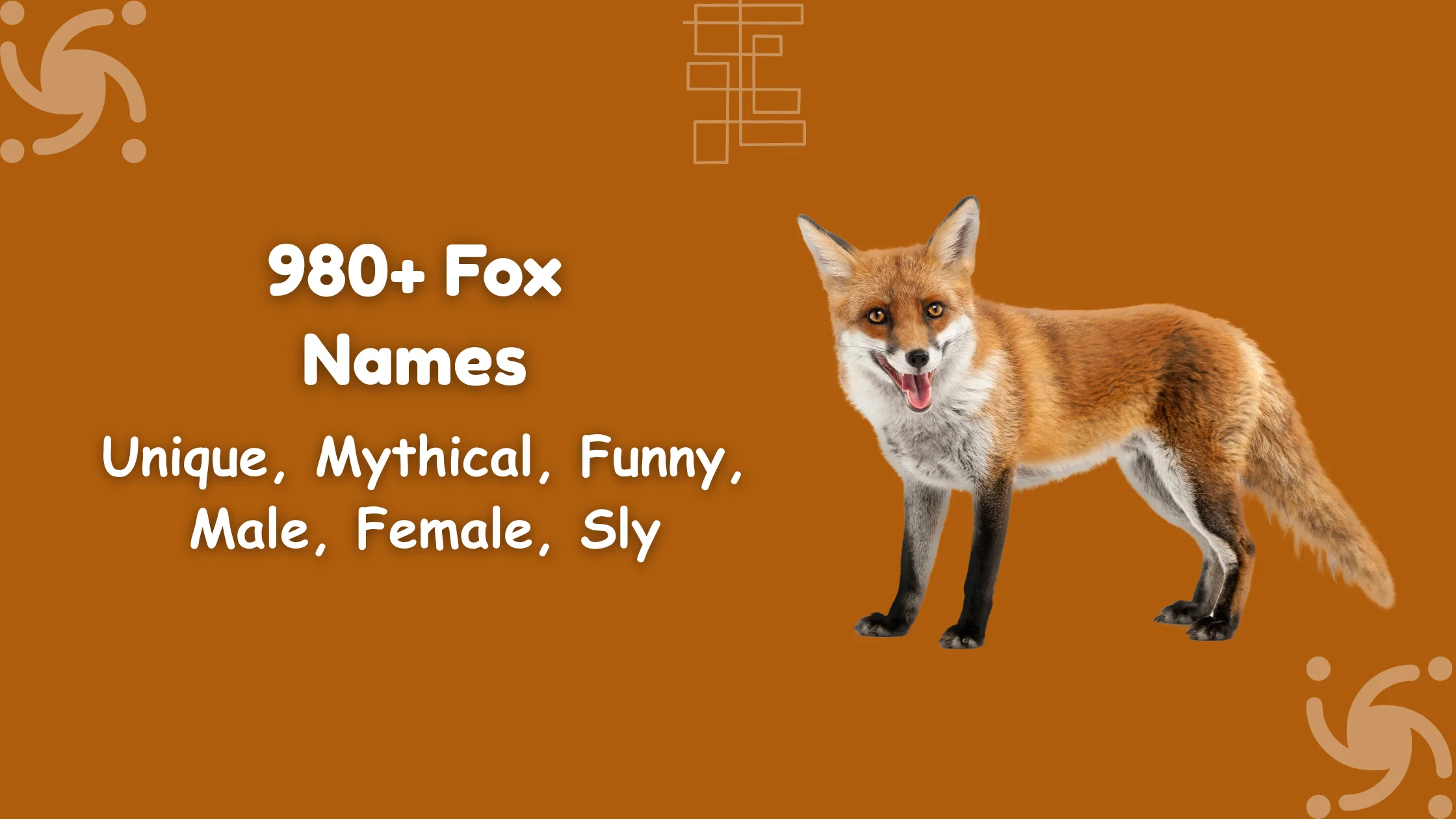 Fox Names