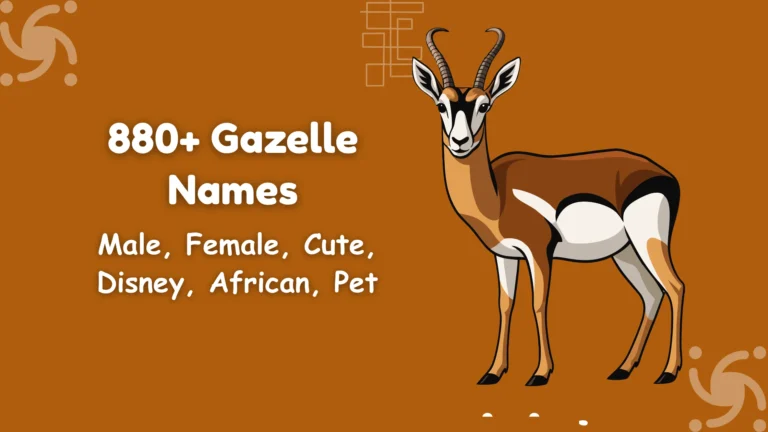 Gazelle Names