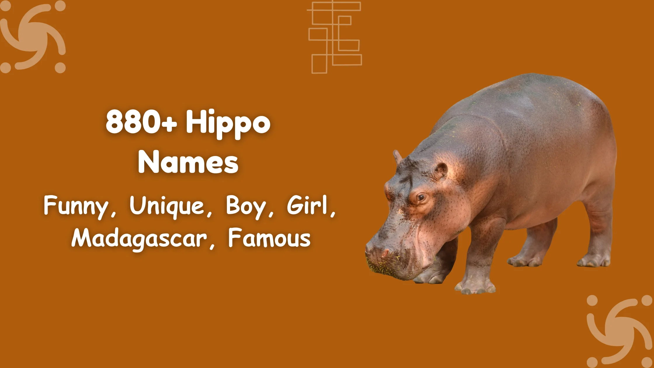 Hippo Names
