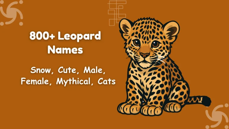 Leopard Names