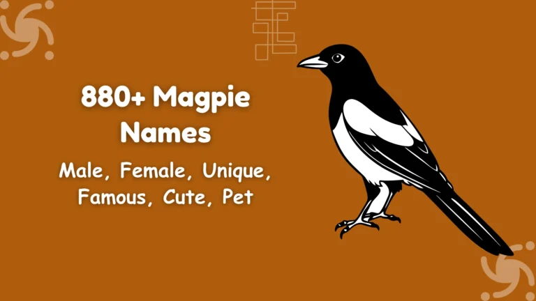 Magpie Names