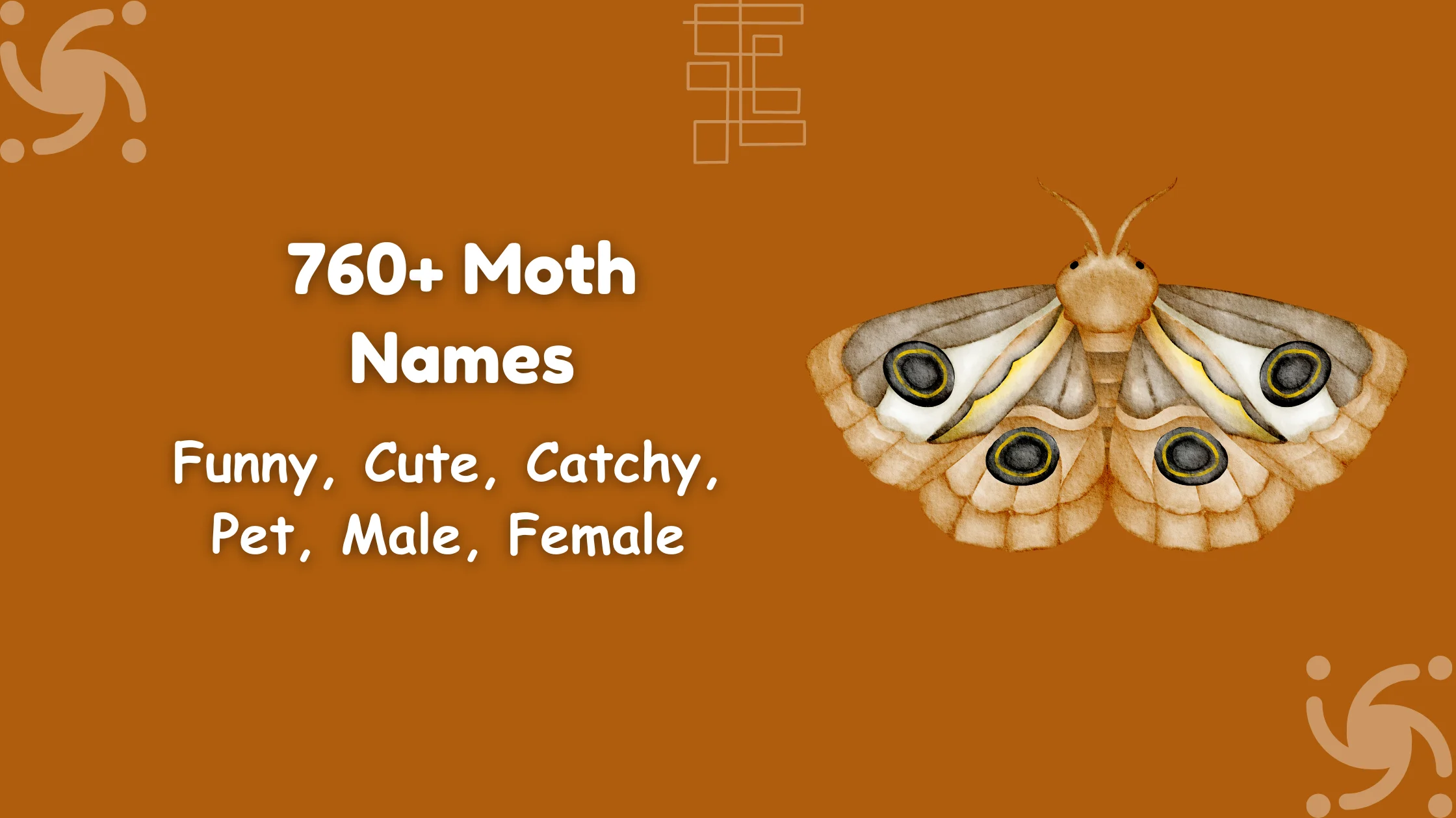 Moth Names