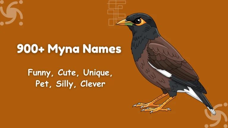 Myna Names