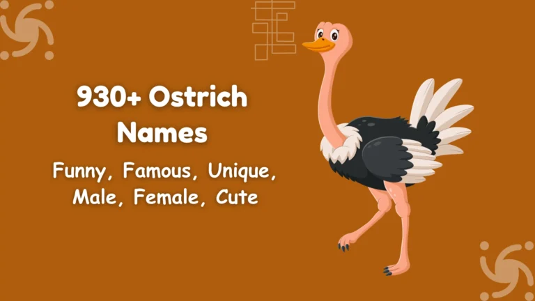 Ostrich Names
