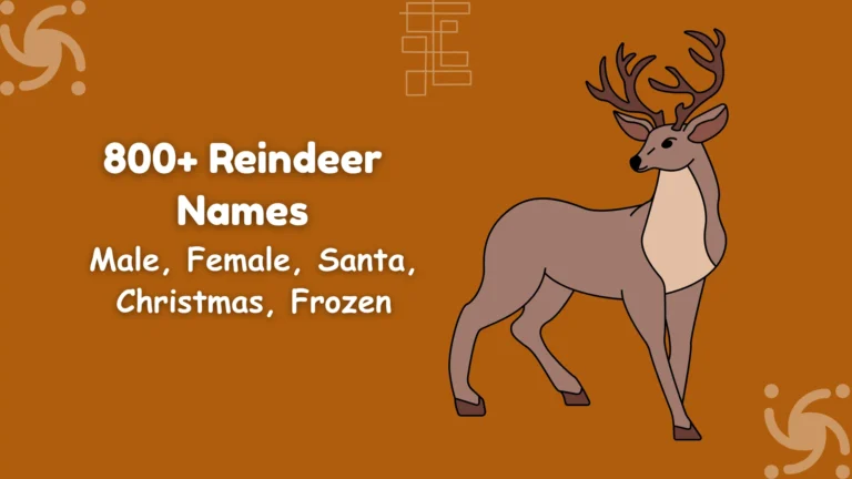 Reindeer Names