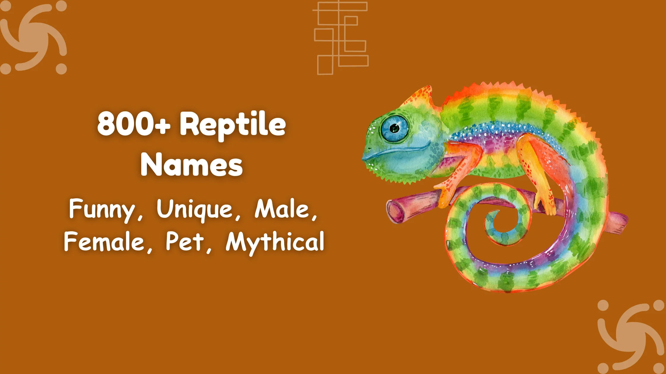 Reptile Names