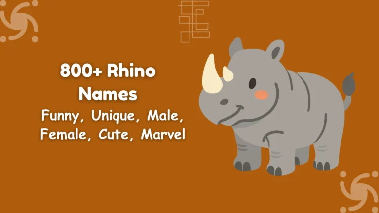 Rhino Names