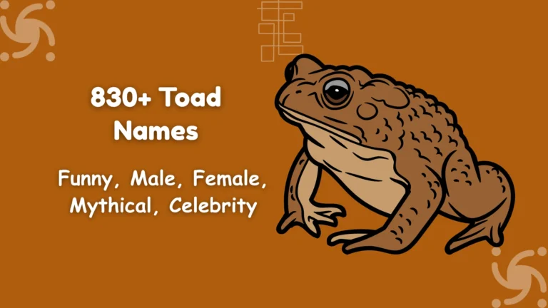 Toad Names
