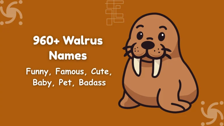 Walrus Names