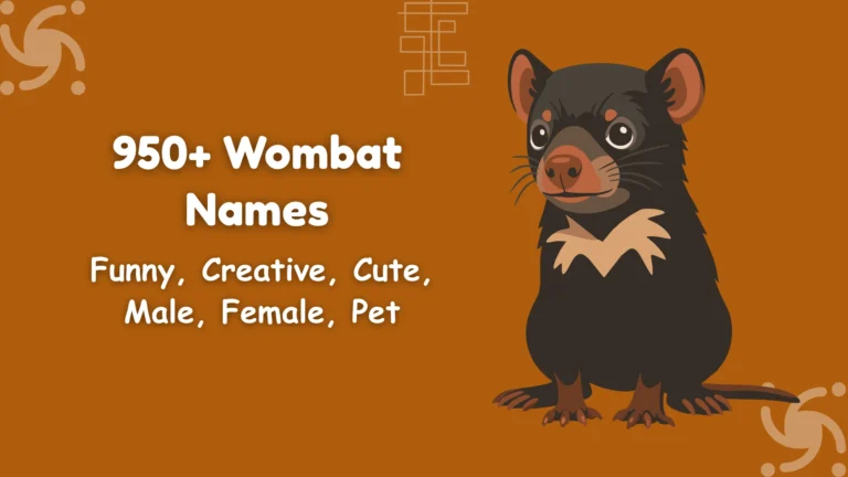 Wombat Names
