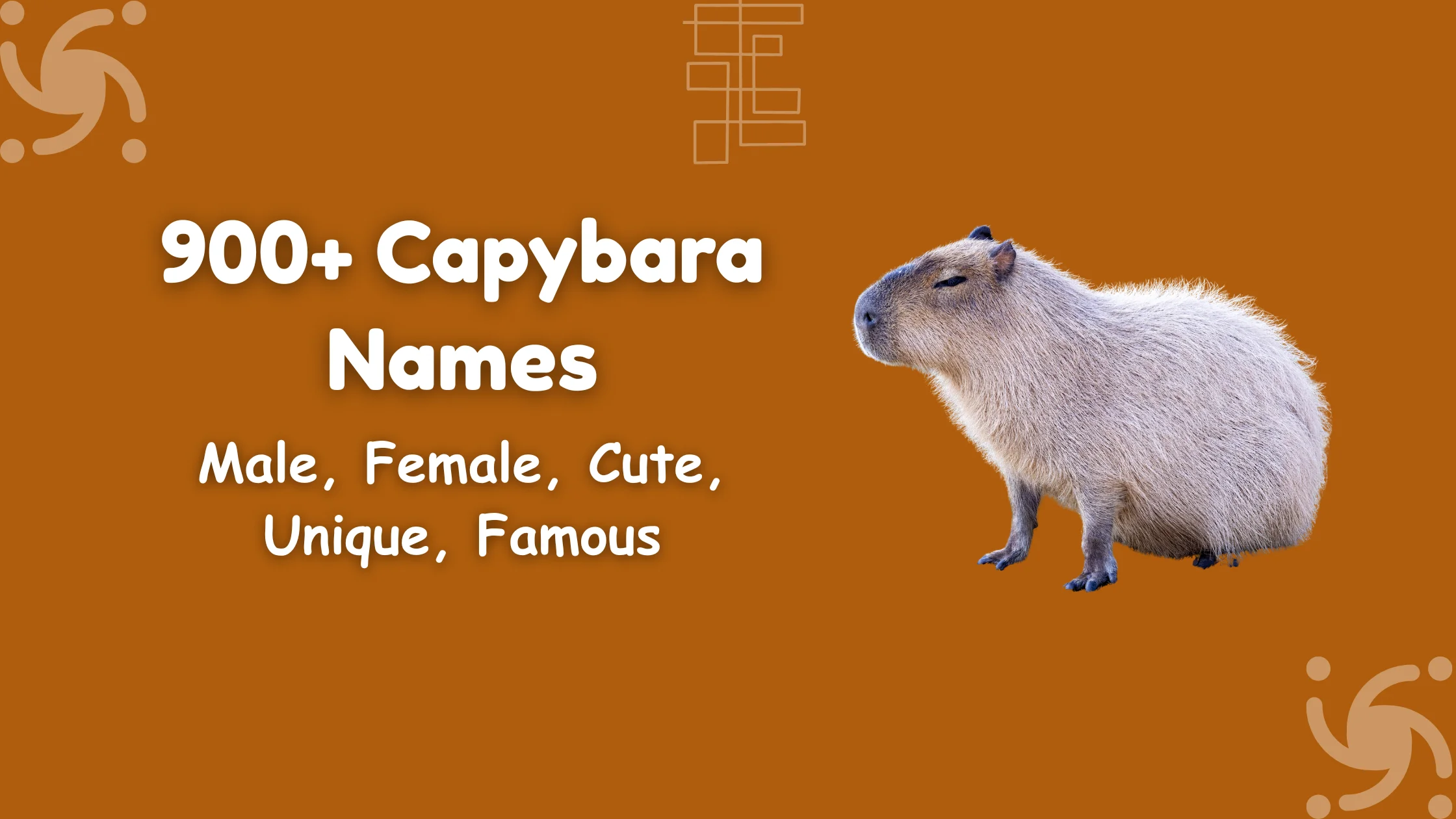 Capybara Names