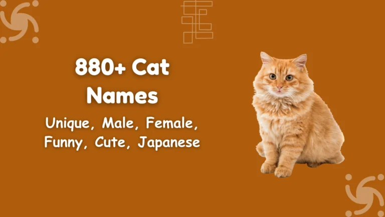 Cat Names