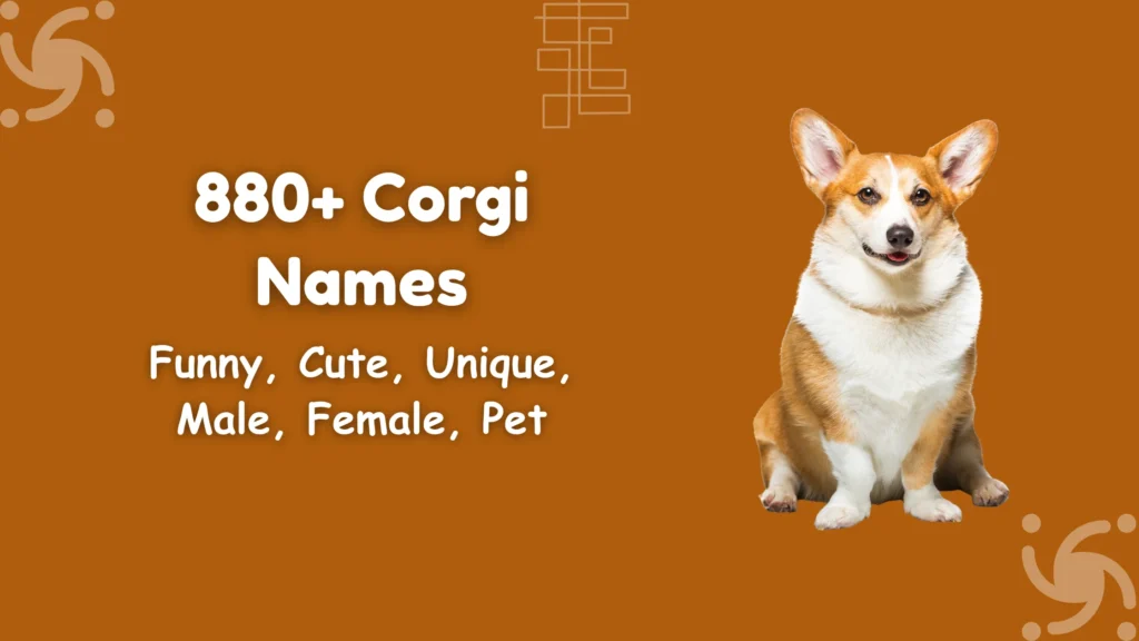 Corgi Names