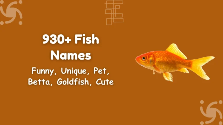 Fish Names