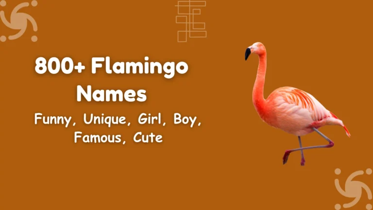 Flamingo Names