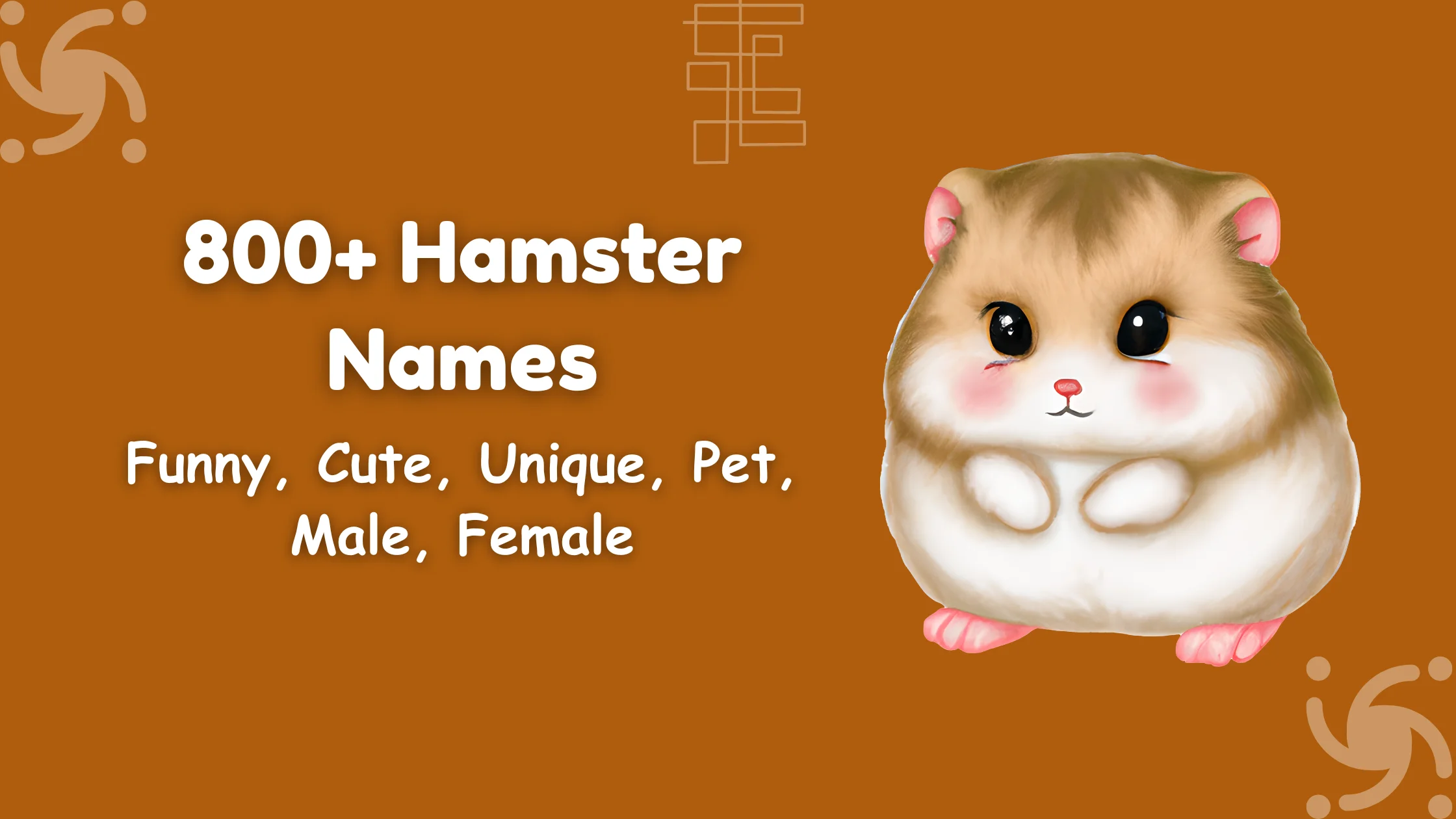 Hamster Names