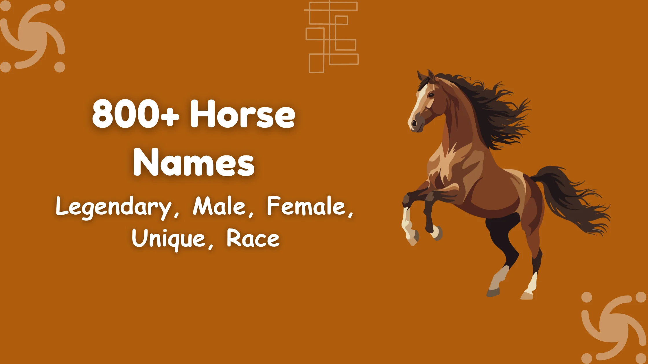 Horse Names