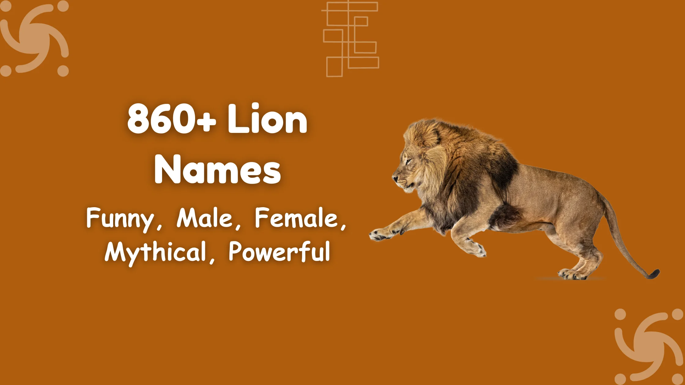 Lion Names