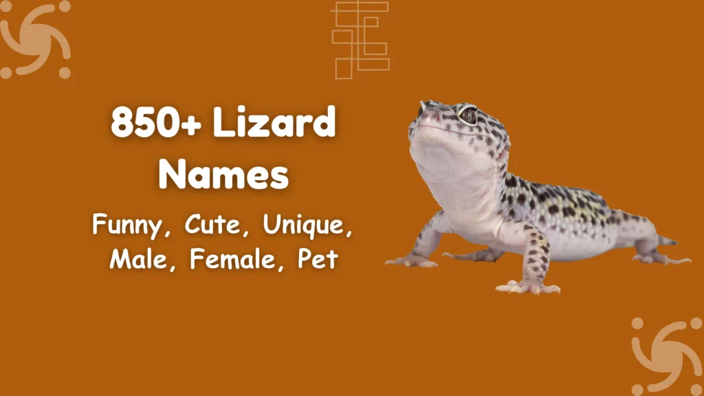 Lizard Names