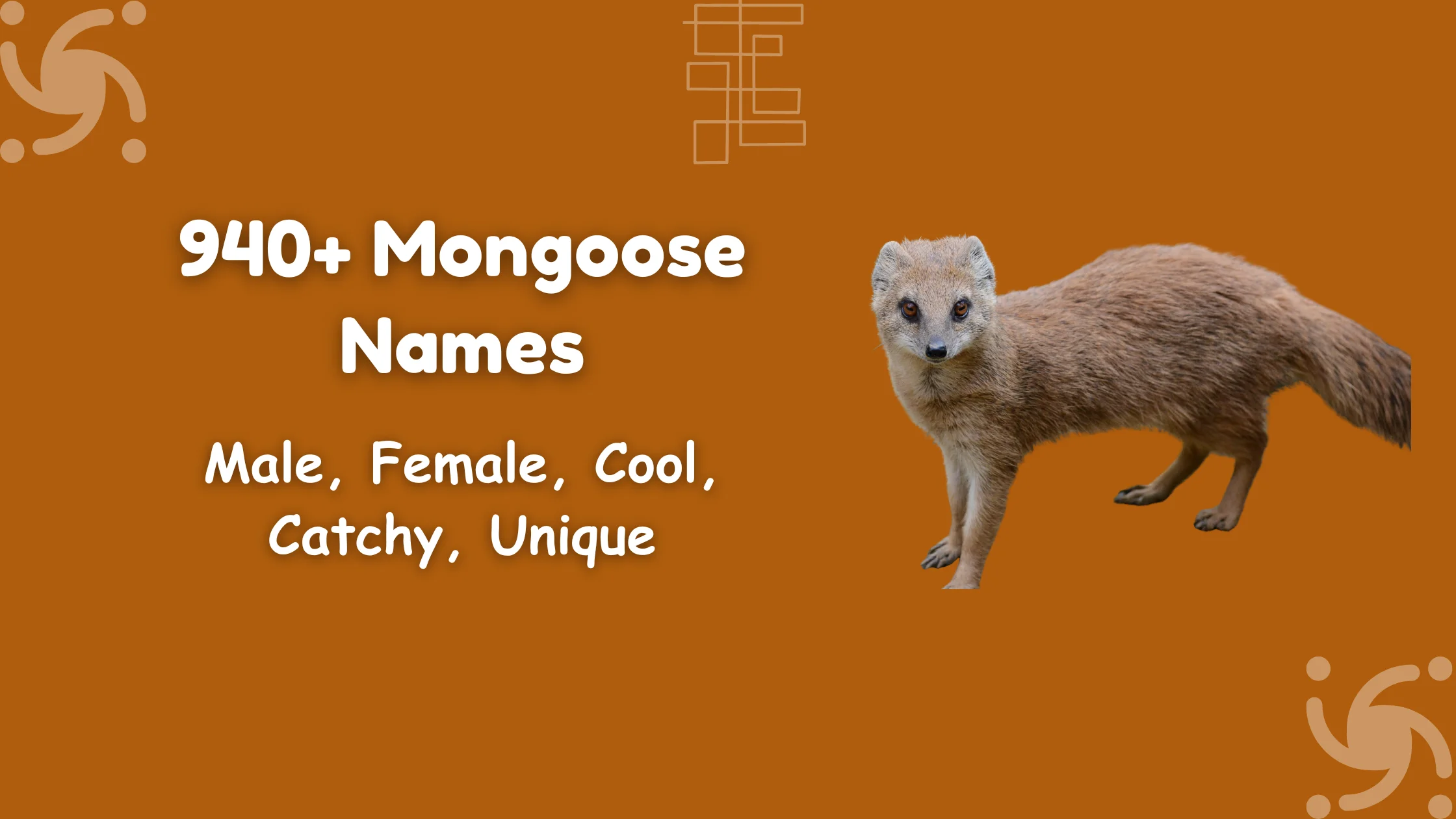 Mongoose Names