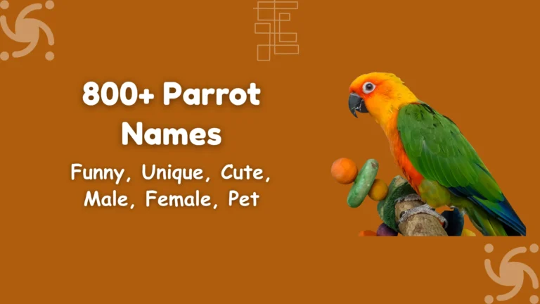 Parrot Names