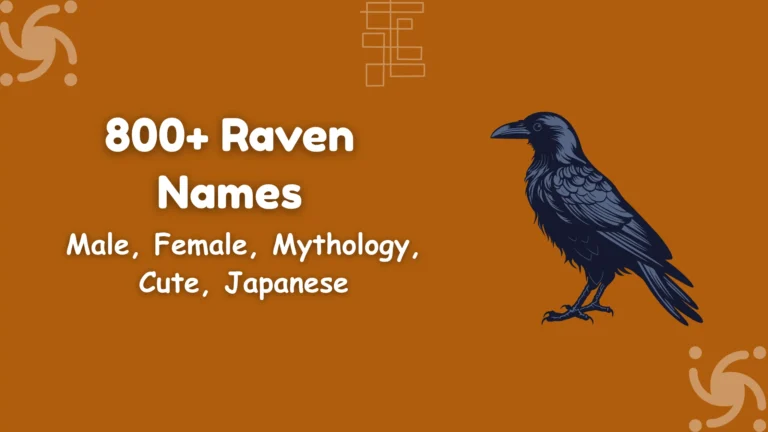 Raven Names