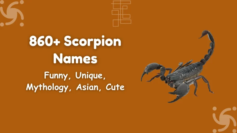 Scorpion Names