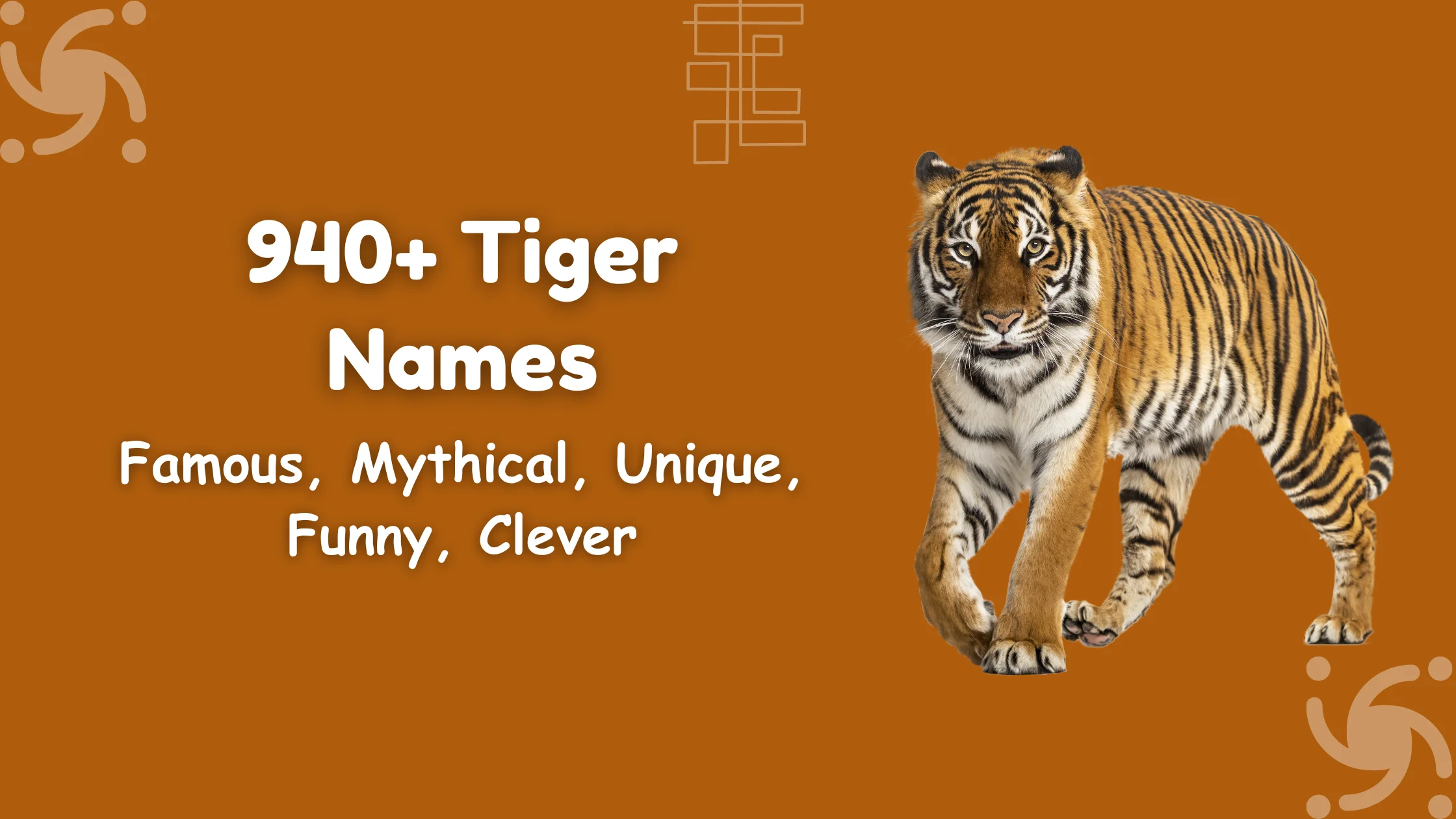 Tiger Names