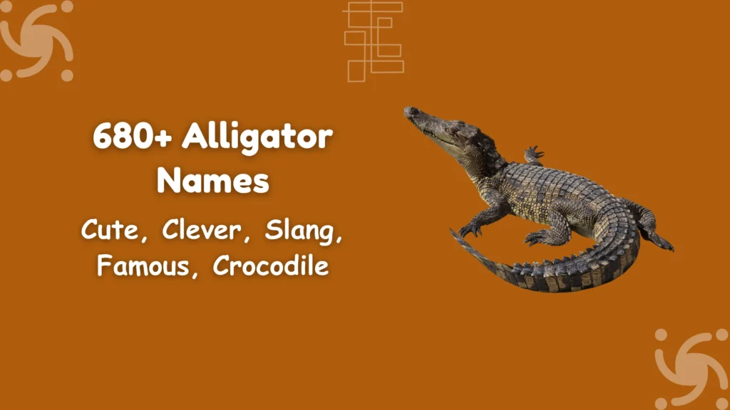 Alligator Names