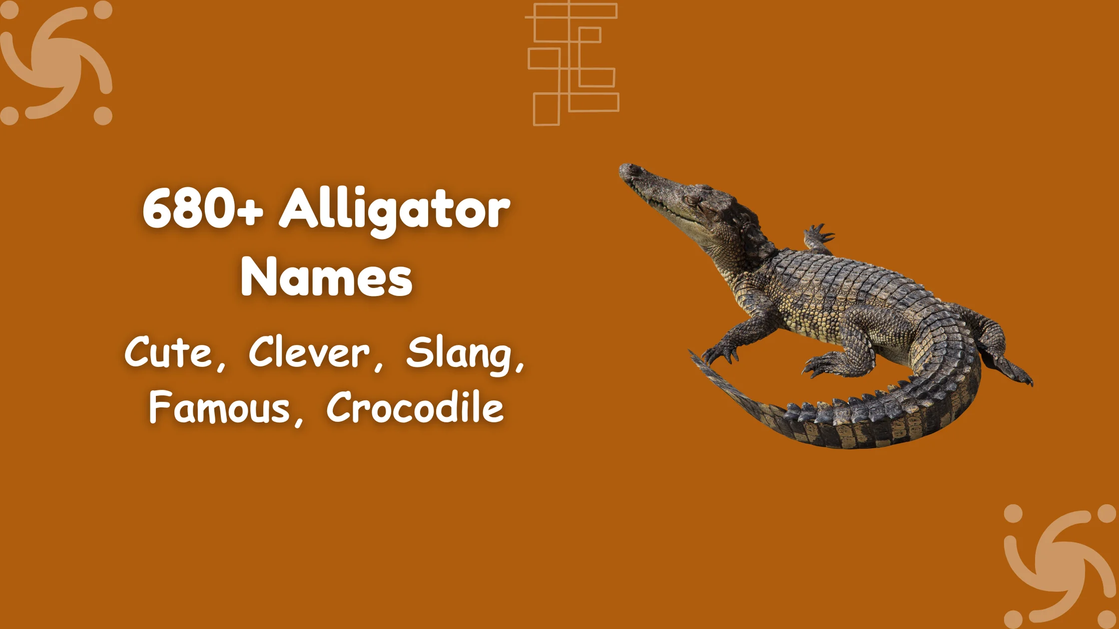 Alligator Names