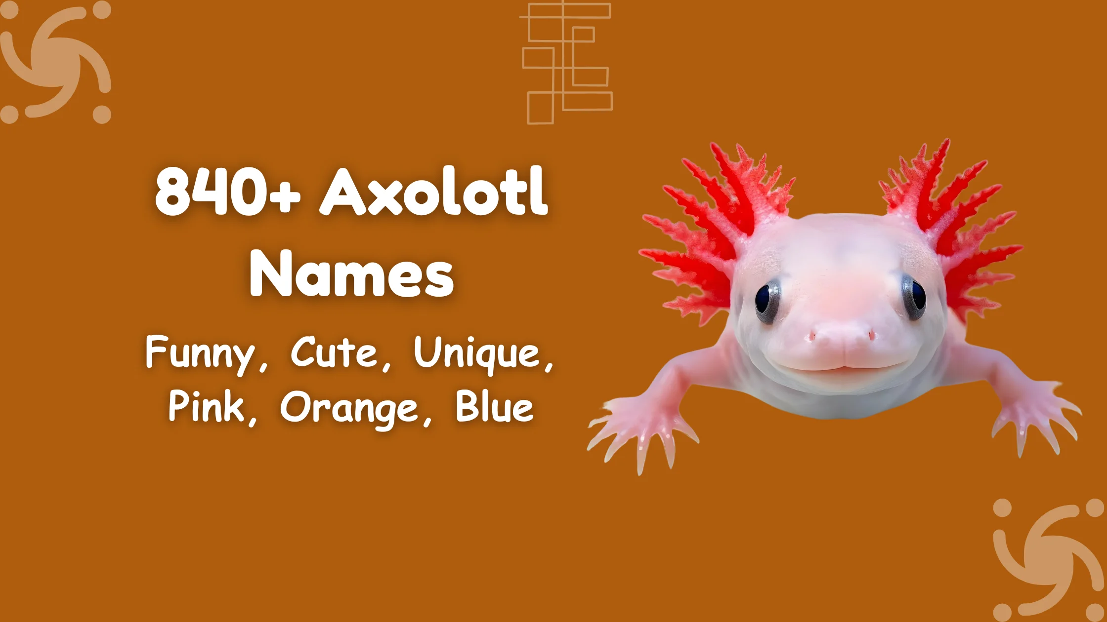 Axolotl Names