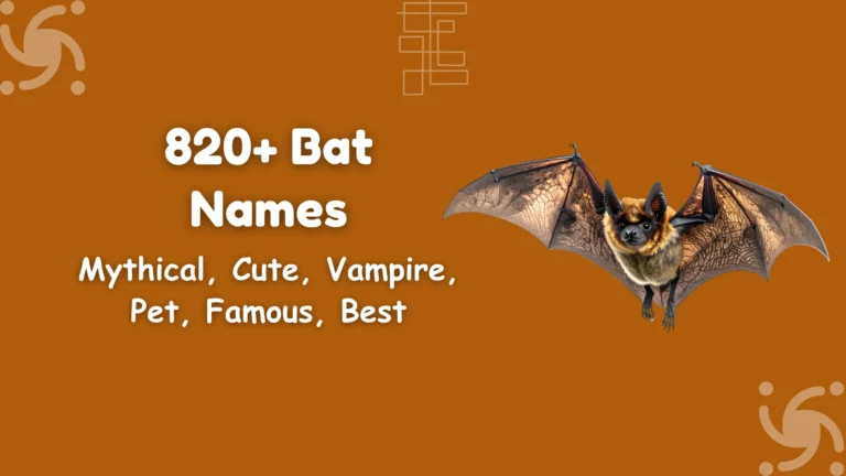 Bat Names
