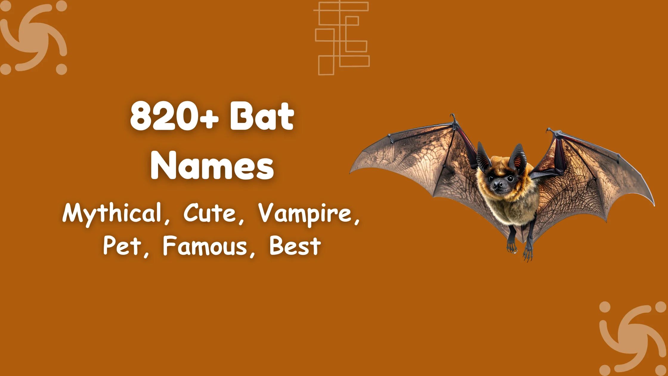 Bat Names
