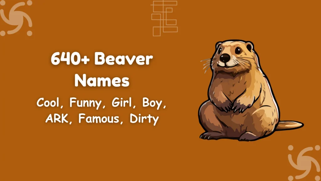 Beaver Names