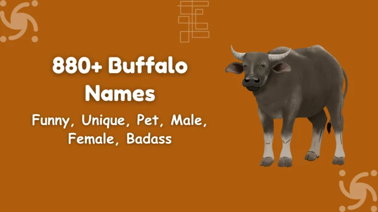 Buffalo Names
