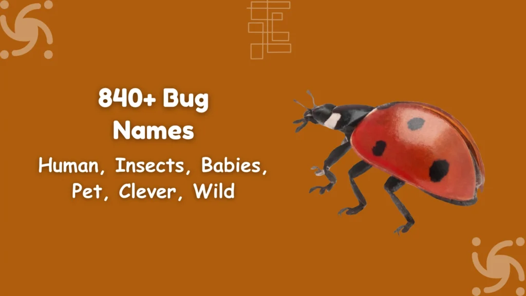Bug Names