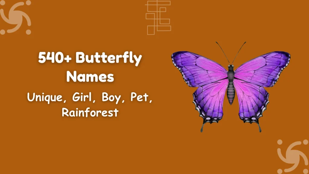 Butterfly Names