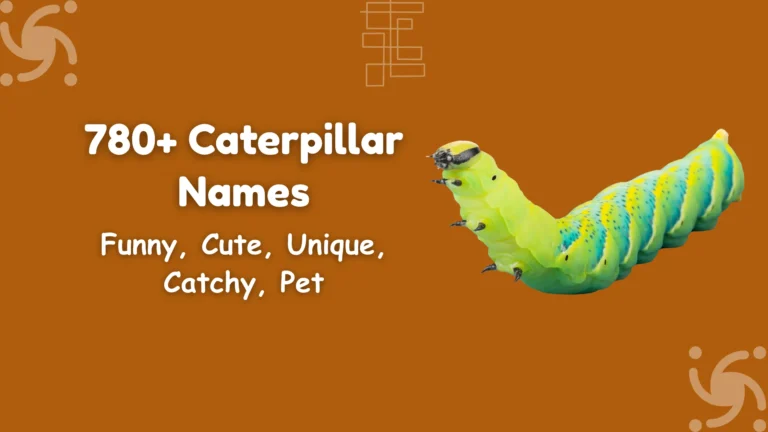 Caterpillar Names