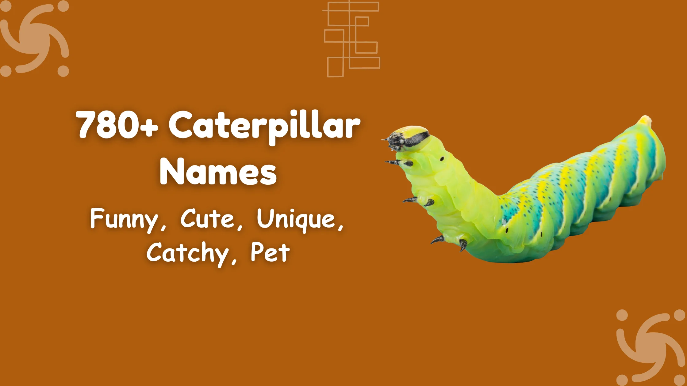 Caterpillar Names