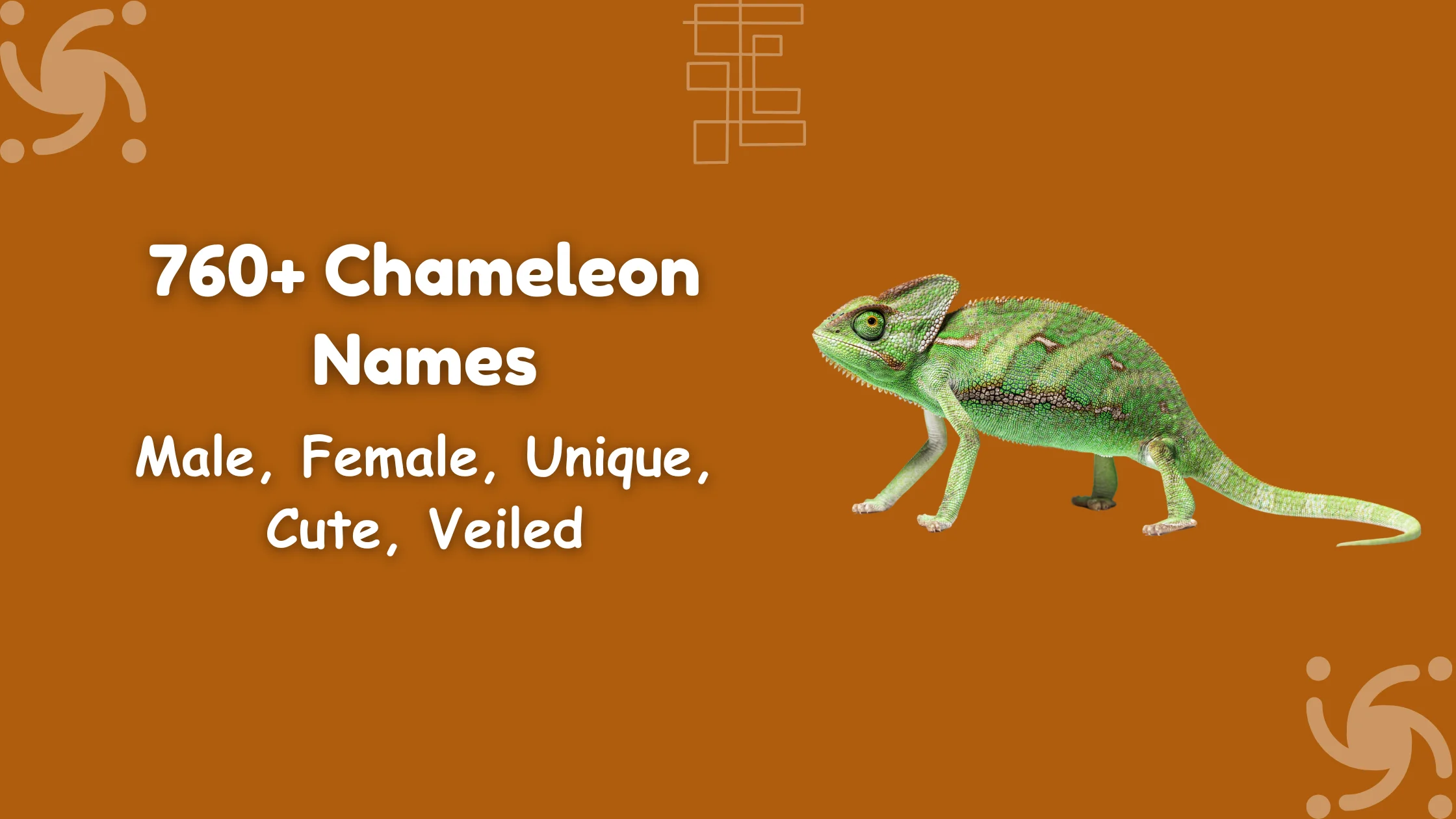Chameleon Names