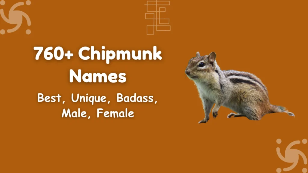 Chipmunk Names