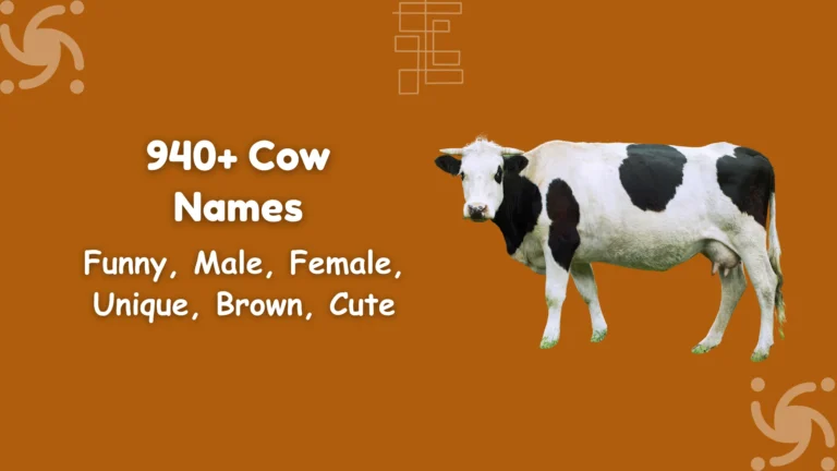 Cow Names