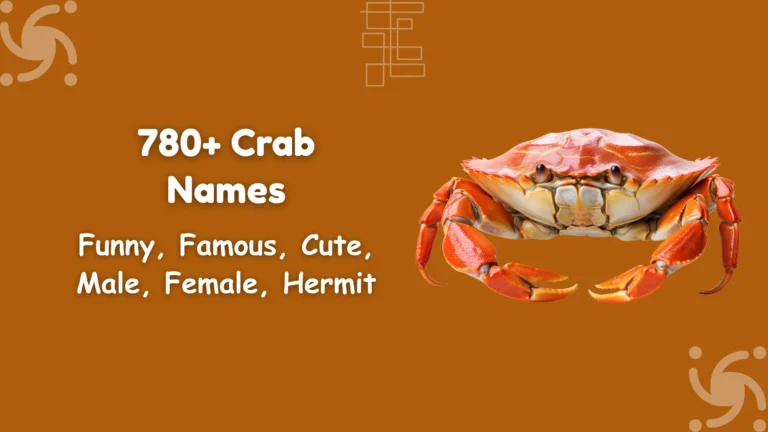 Crab Names