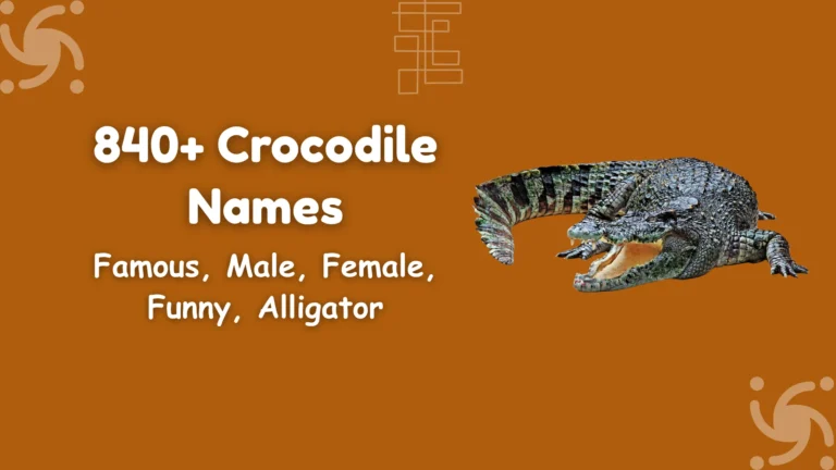Crocodile Names