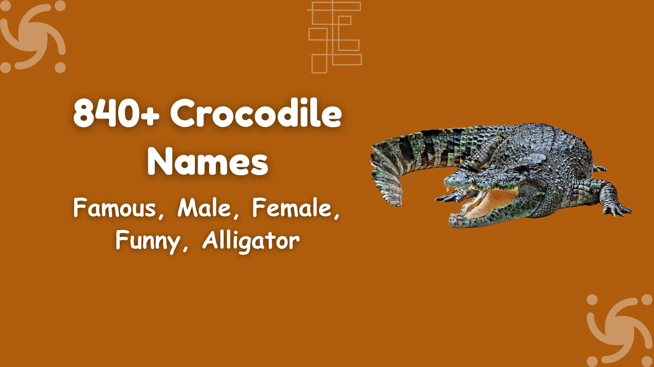 Crocodile Names