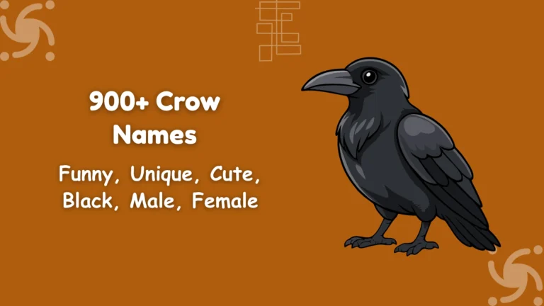 Crow Names