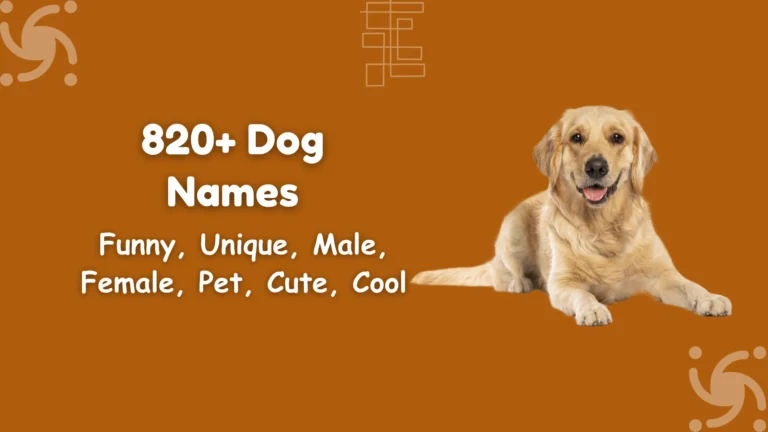 Dog Names