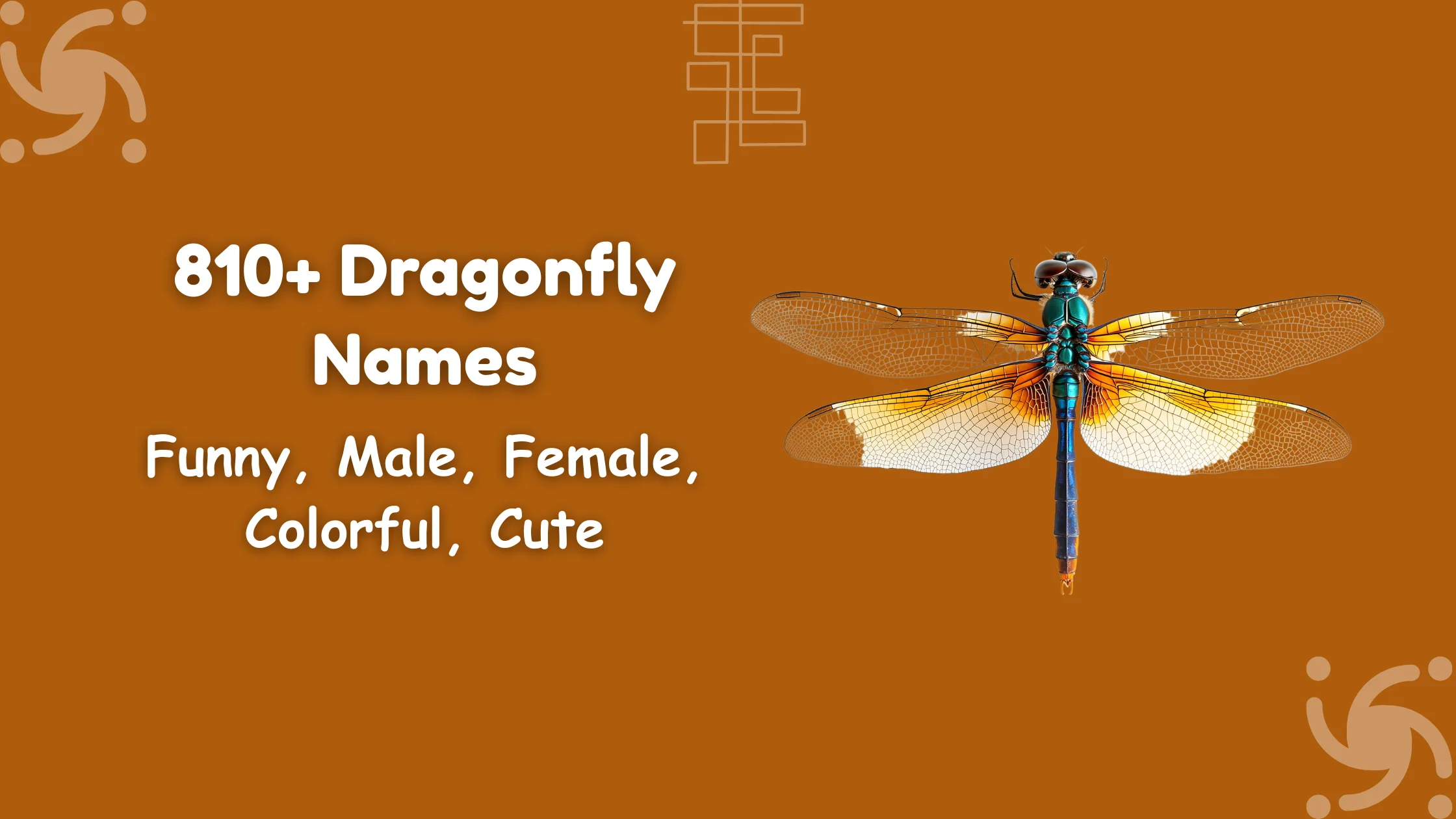 Dragonfly Names